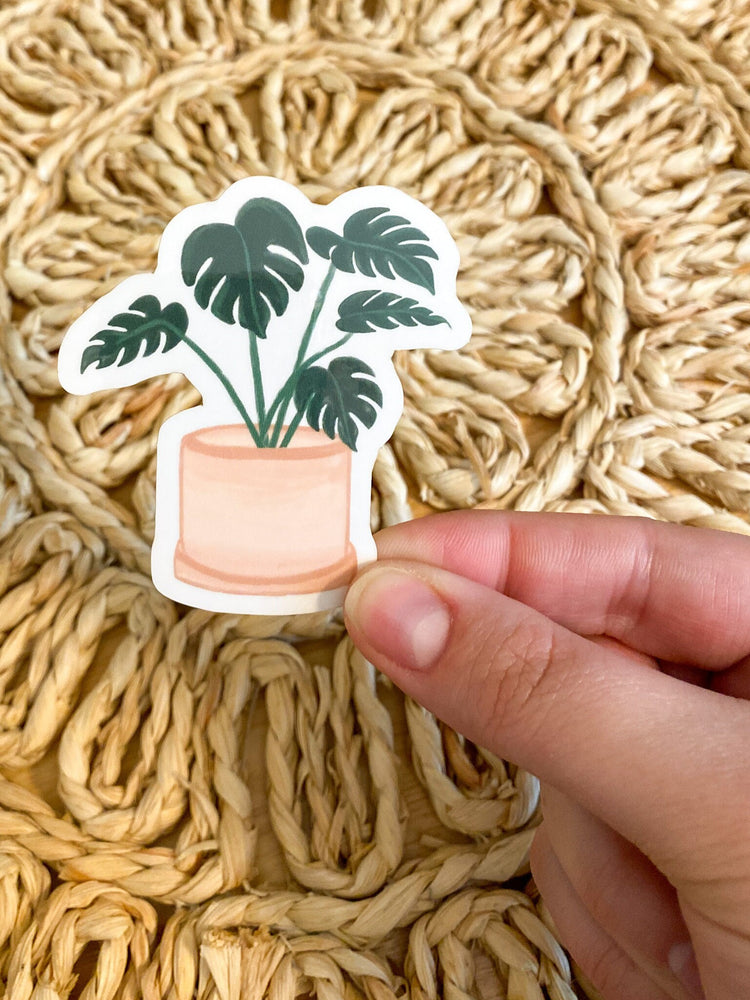 Monstera Plant Clear Vinyl Sticker