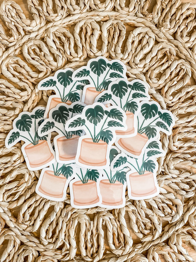 Monstera Plant Clear Vinyl Sticker